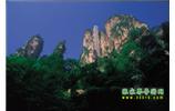 網(wǎng)絡熱門純玩游：張家界、天子山、袁家界、楊家界 自助三日游