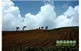 張家界、天子山、寶峰湖/黃龍洞、鳳凰古城、德夯大峽谷 苗族風(fēng)情五日游