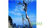湘西之旅：張家界、天子山、寶峰湖/黃龍洞、鳳凰古城、猛洞河漂流、天門(mén)山六日游