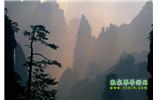 張家界國家森林公園、寶峰湖/黃龍洞、鳳凰古城、三峽八日游