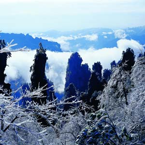 LD線：張家界、天子山、楊家界、猛洞河漂流純玩四日游