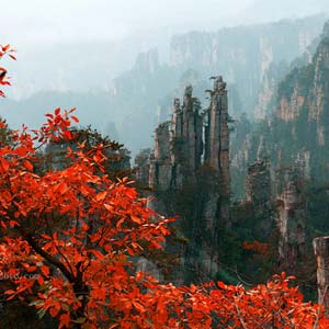 休閑自駕E線：張家界、袁家界、天子山、寶峰湖、鳳凰古城、沱江泛舟四晚五日游